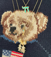 Load image into Gallery viewer, Lucky חי CHAI necklace color