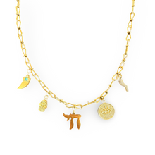 Load image into Gallery viewer, Necklace lucky charms