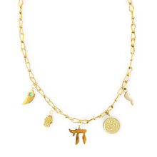 Load image into Gallery viewer, Necklace lucky charms